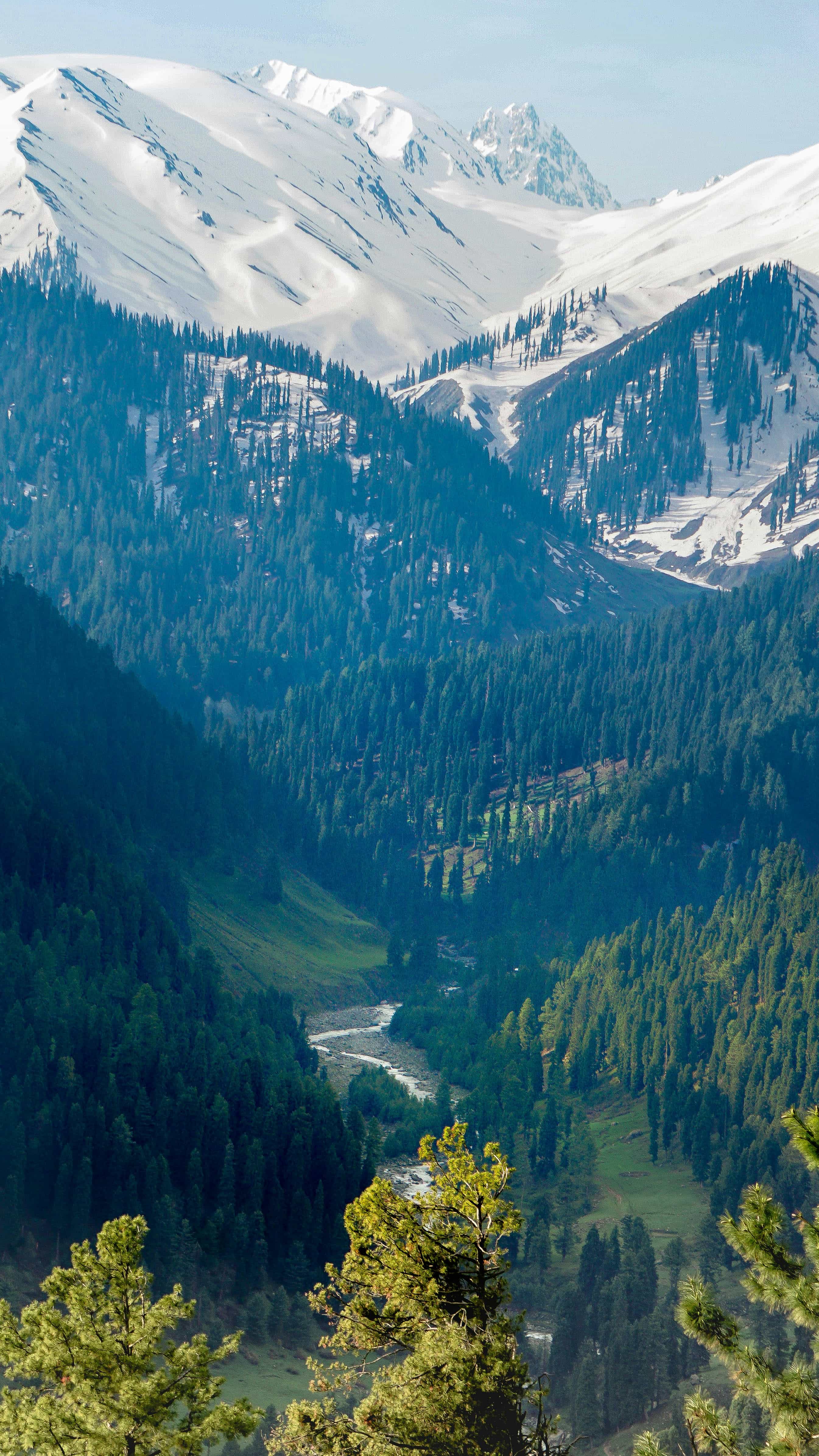 Himachal Tour