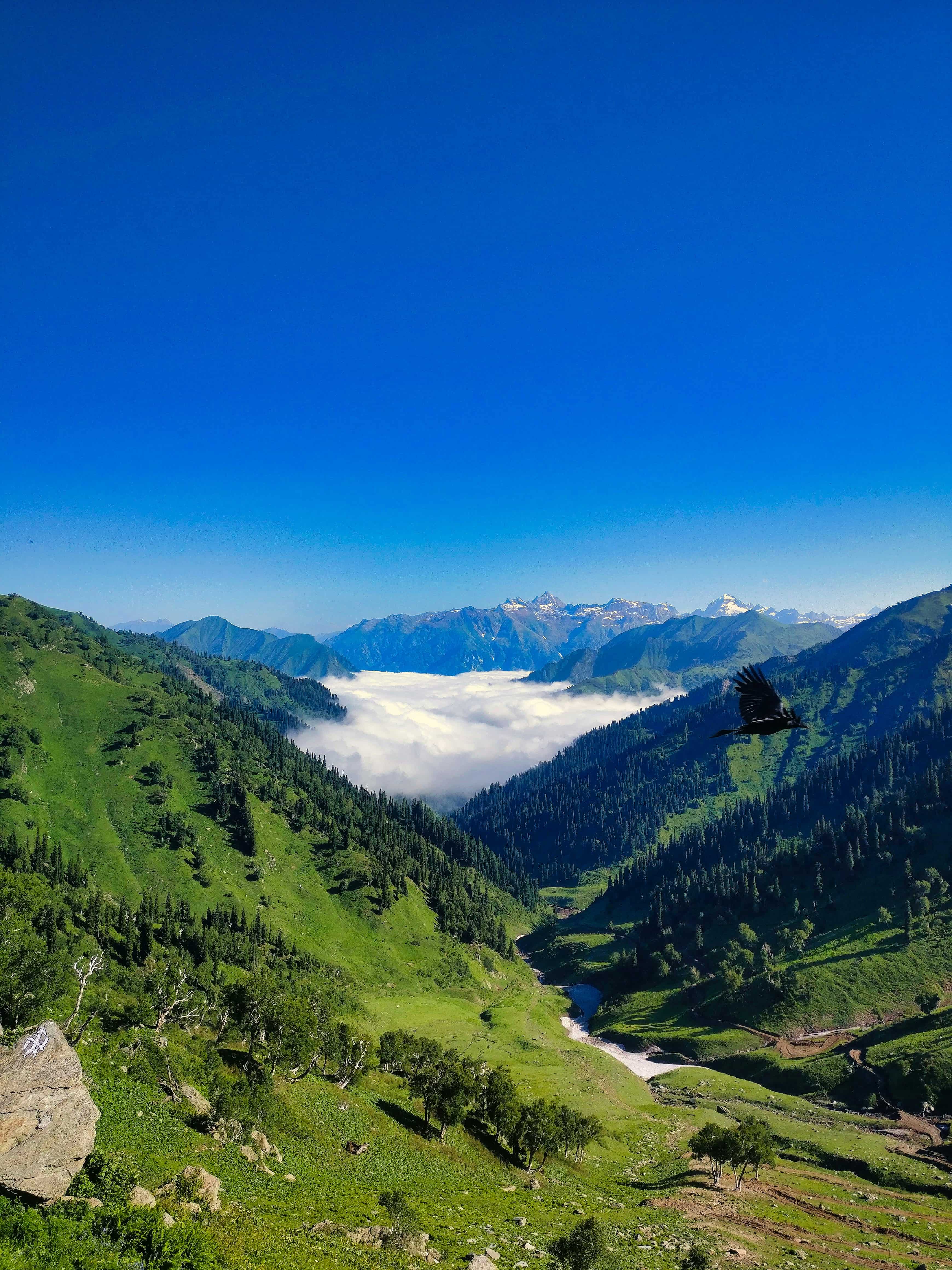 Himachal Tour