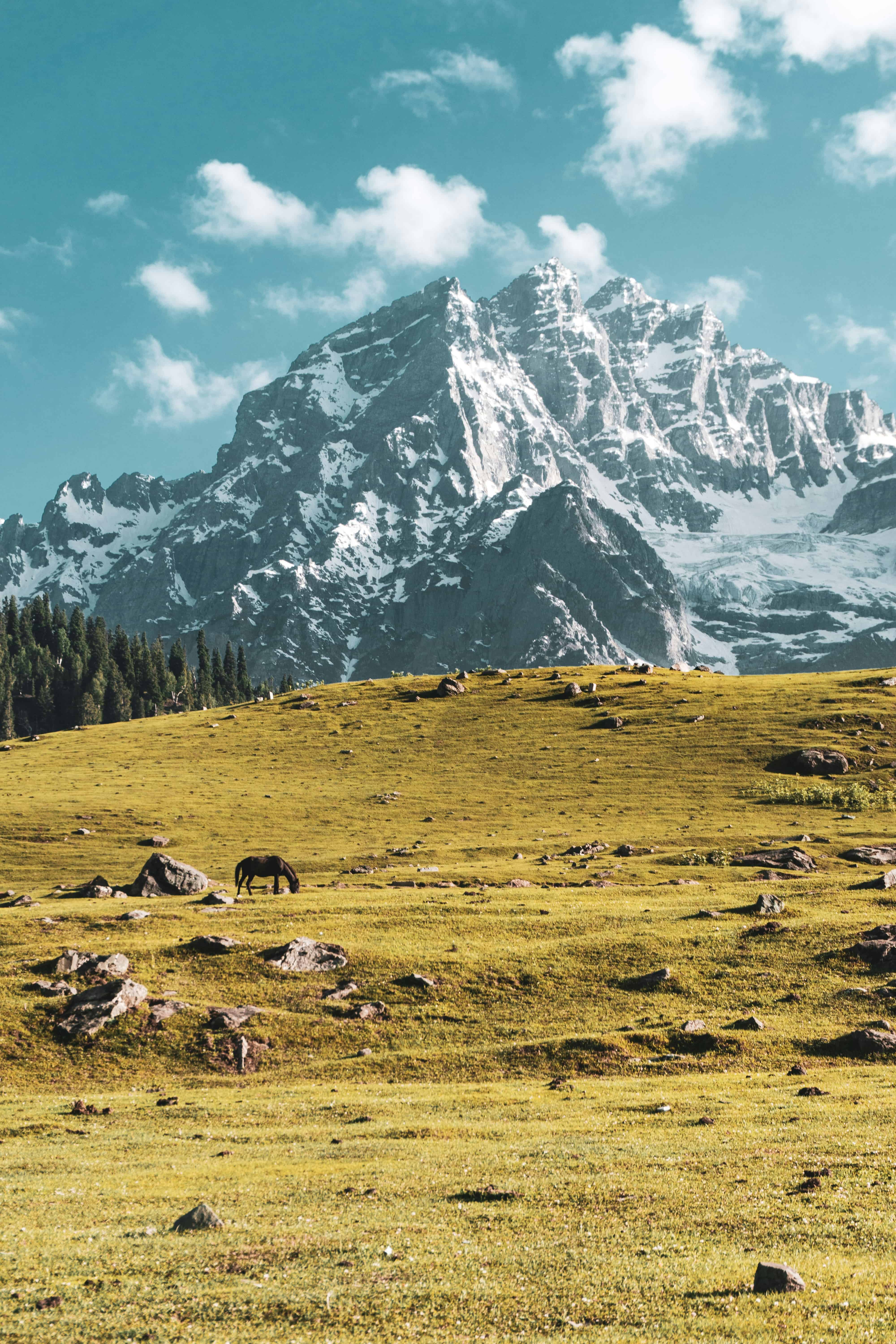 Himachal Tour
