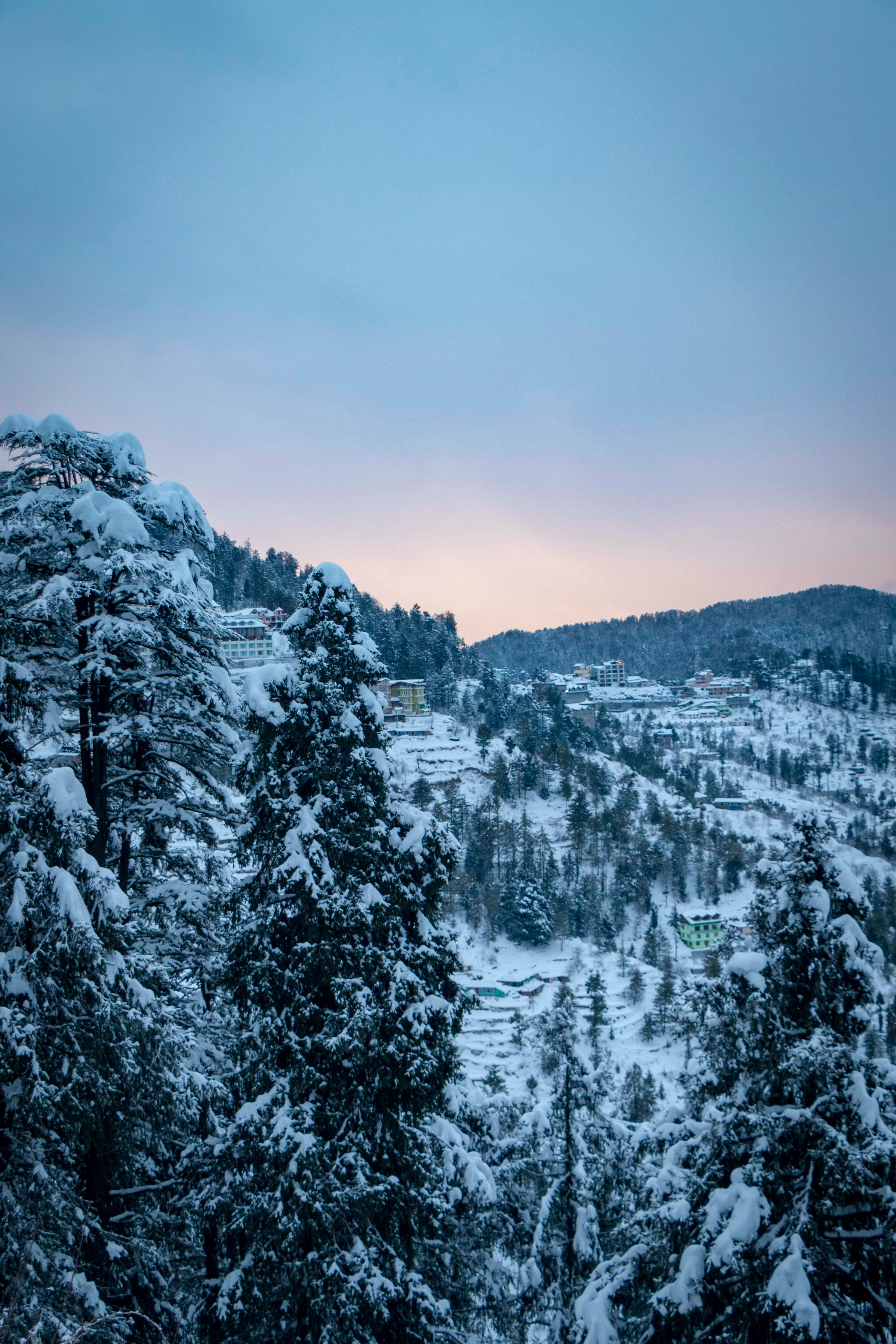 Himachal Tour